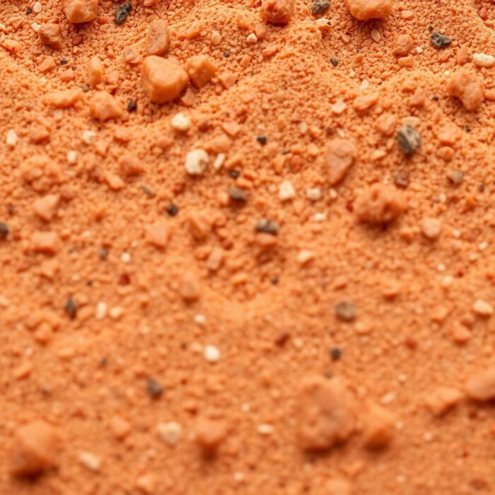Warm earth · feature accents
